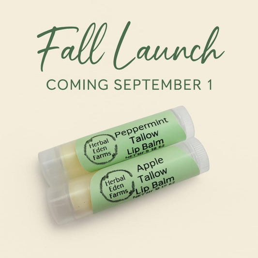 Tallow Lip Balm