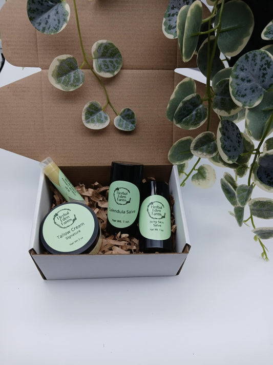 Gift set with skincare products and a plant on a white background