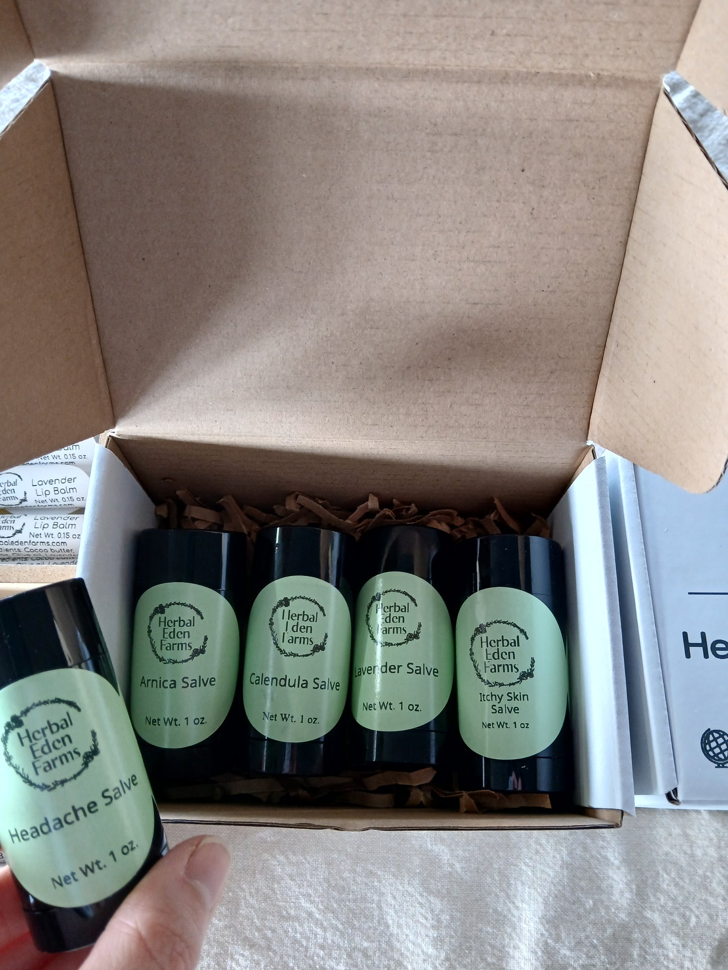 Herbal Salve Wellness Kit