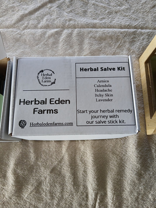 Herbal Salve Wellness Kit