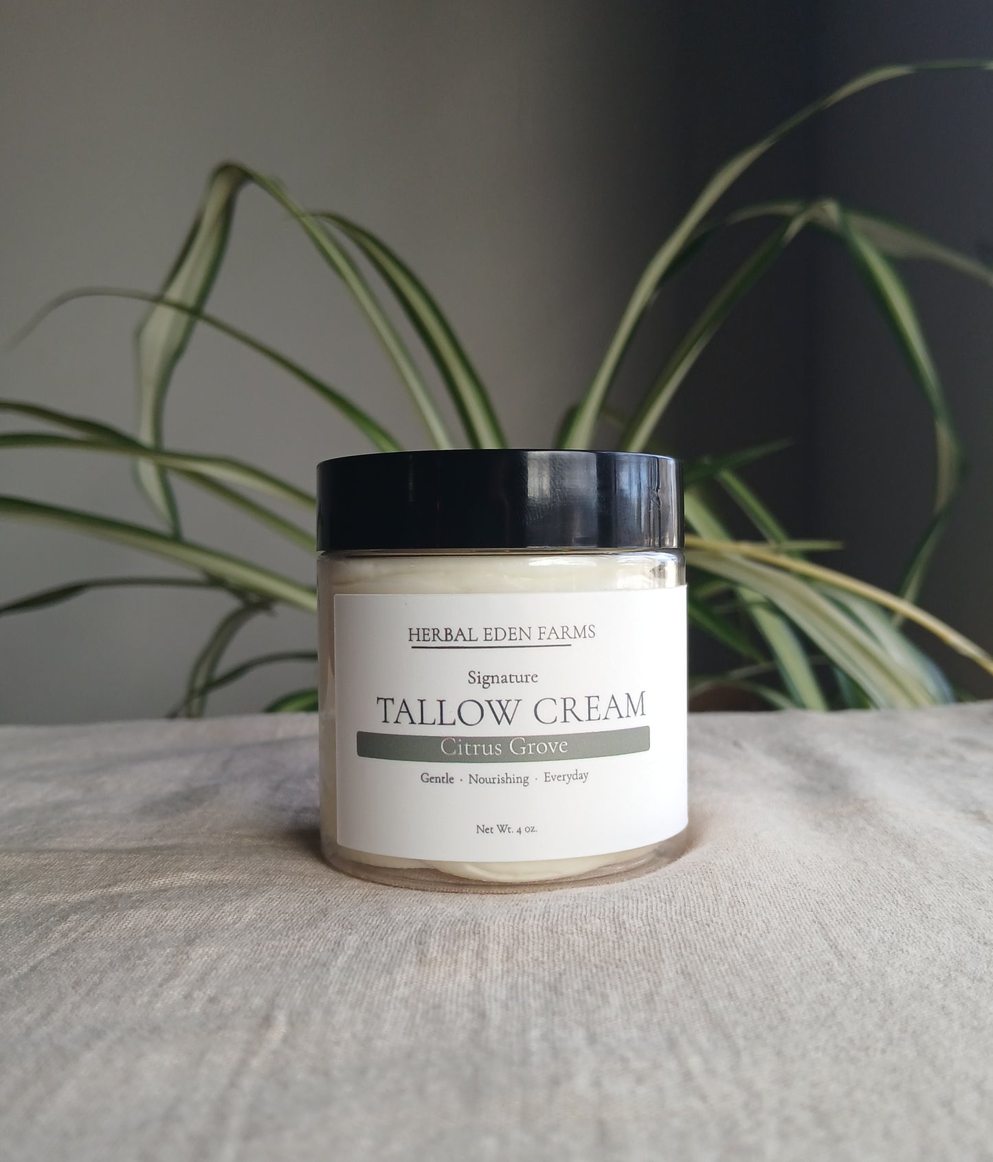 Tallow Cream